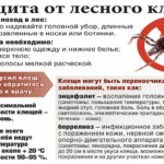 клещ5
