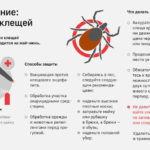 клещи 2
